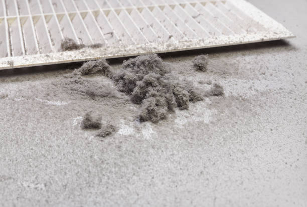 Best Duct Cleaning for Homes  in Raleigh Hills, OR