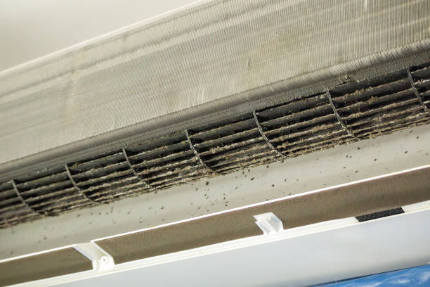 Best Affordable Air Duct Cleaning  in Raleigh Hills, OR